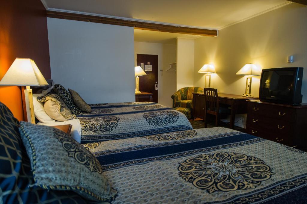 Grizz Hotel Revelstoke Cameră foto